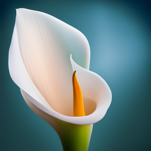 Plants to Make Your garden Look Tropical