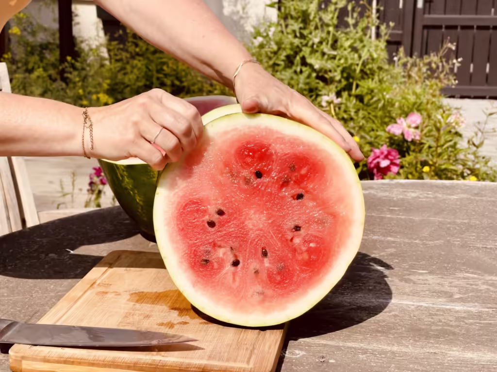 How to Save Watermelon seeds