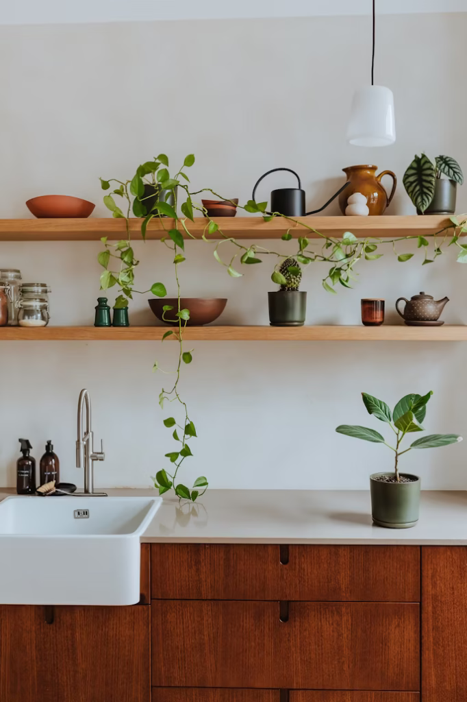 how to get pothos to climb