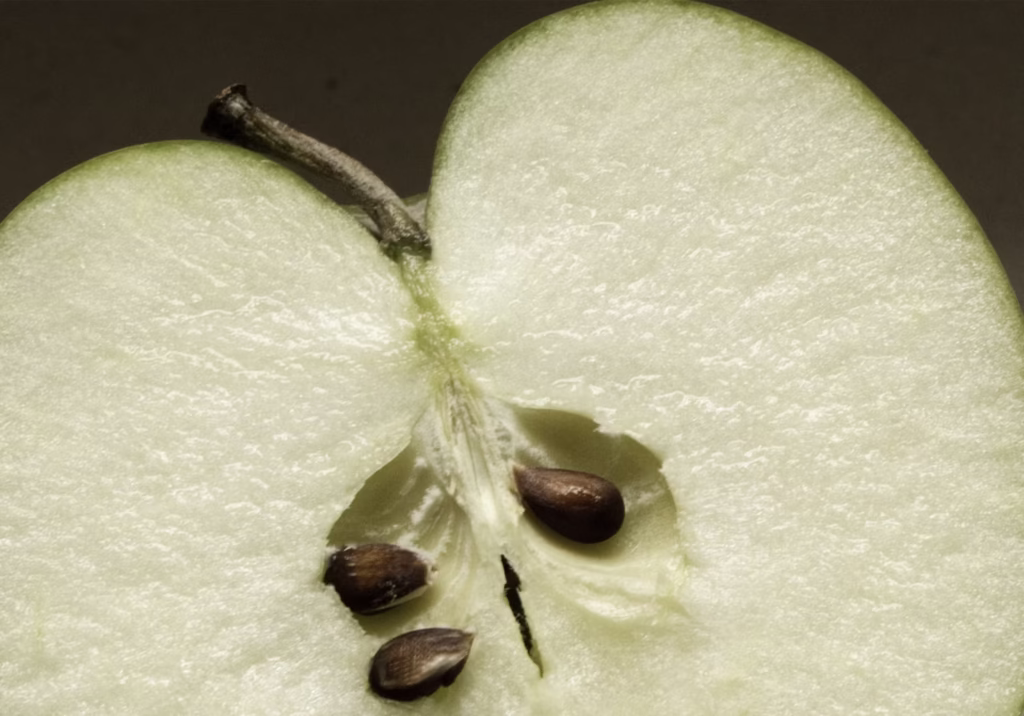 how to save apple seeds